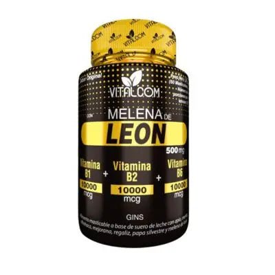 Melena de León para mejorar el enfoque y disminuir la ansiedad - Tendencias Colombia